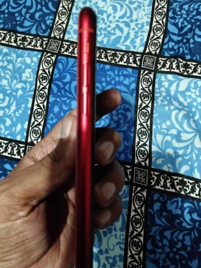 iphon 11