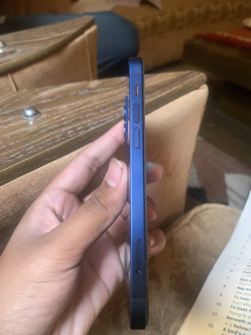 Apple iPhone 12 1