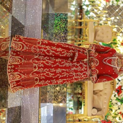 Luxury Red Bridal Wedding Dress / Heavy Embroidered Bridal Lehenga