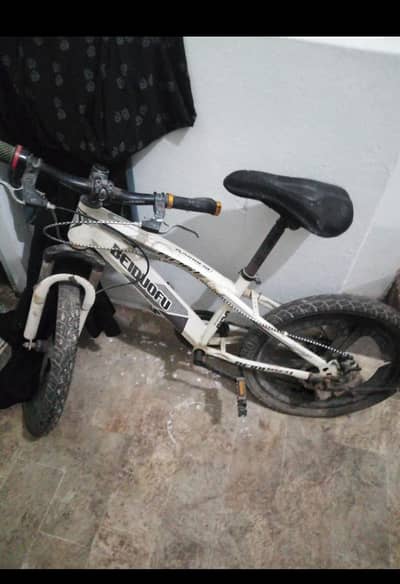 Bicycle for teenage