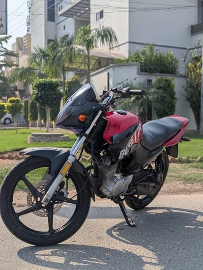 YBR ESD 2019