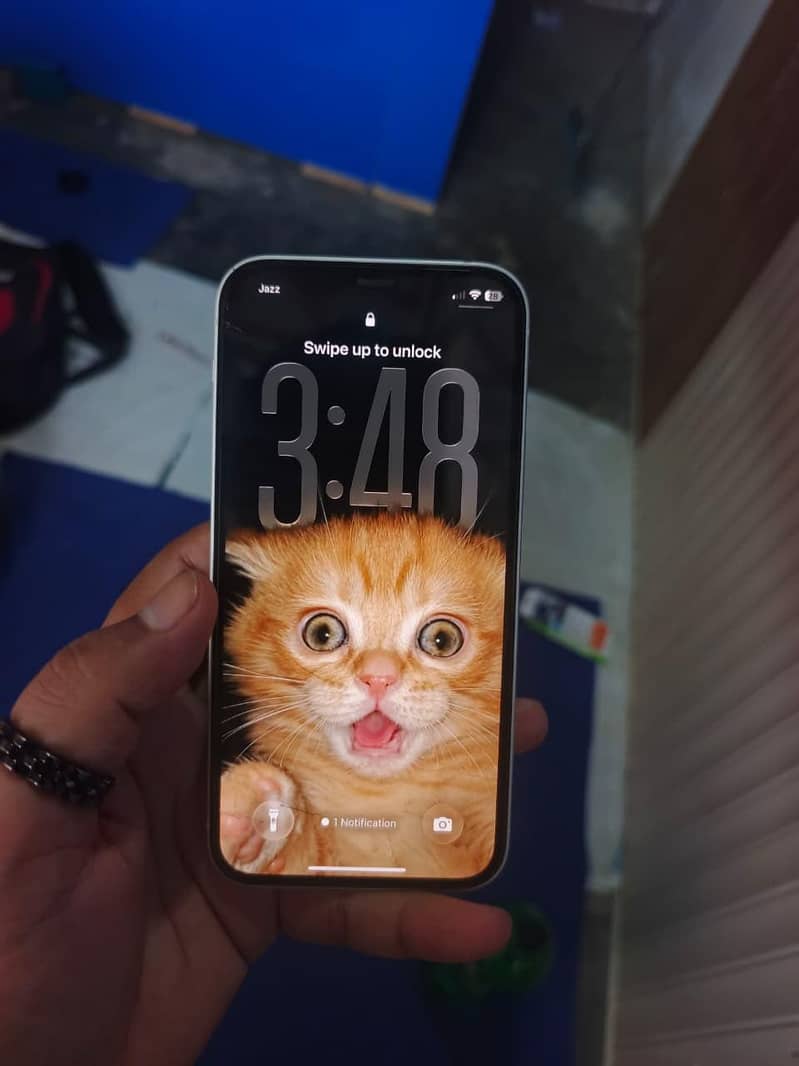 Apple iPhone 12 0