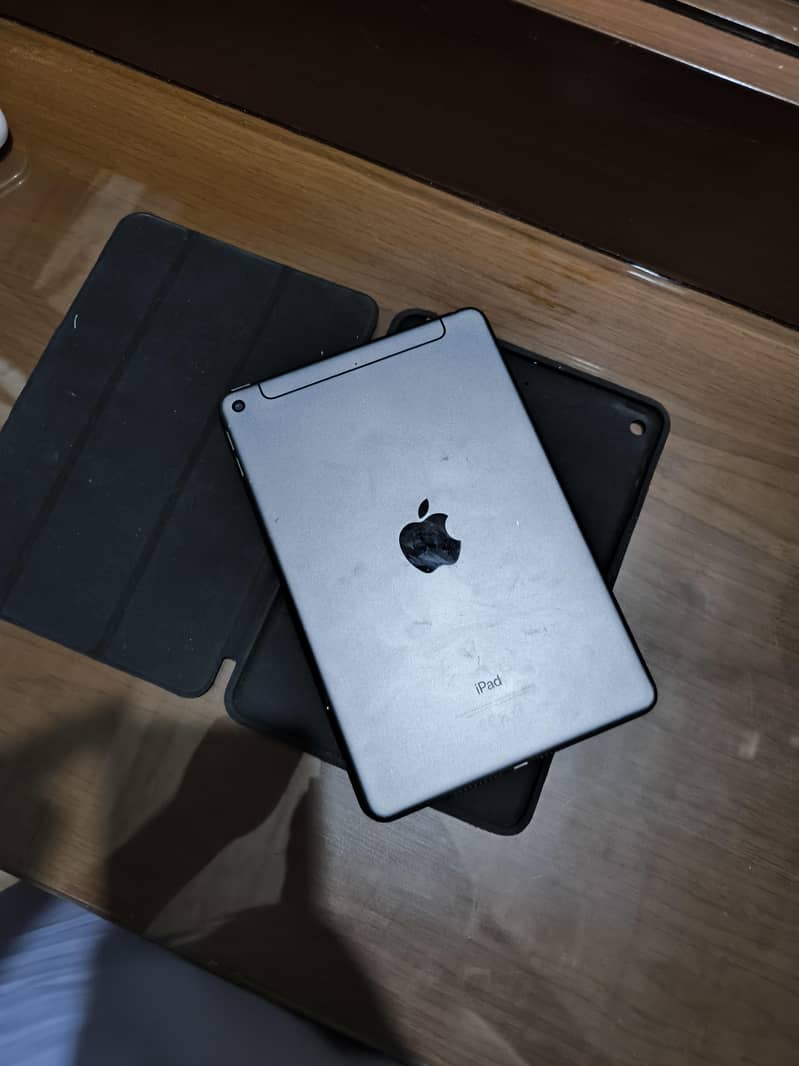 ipad mini 5 EX possible 0