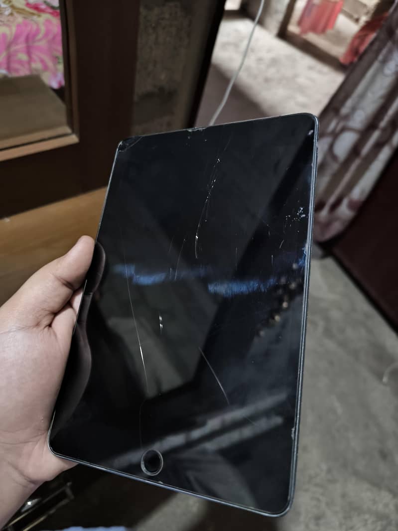 ipad mini 5 EX possible 1