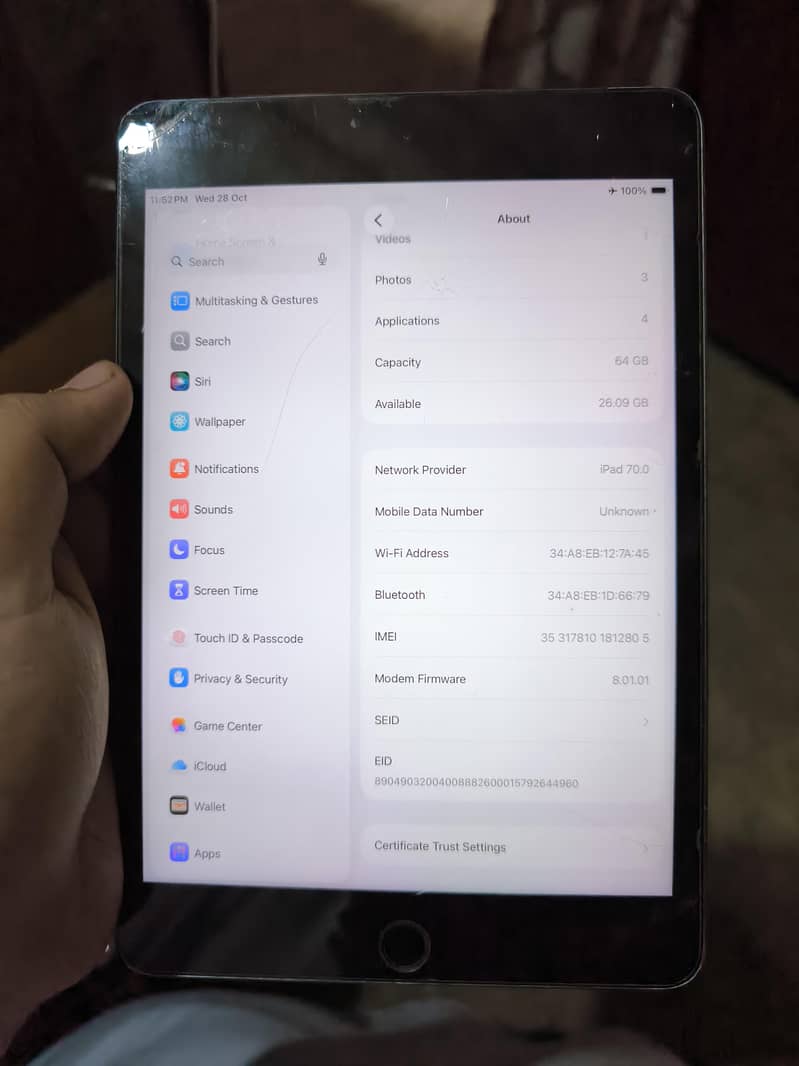 ipad mini 5 EX possible 13