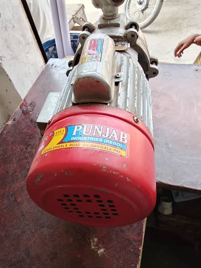 Panjab daball ampallr