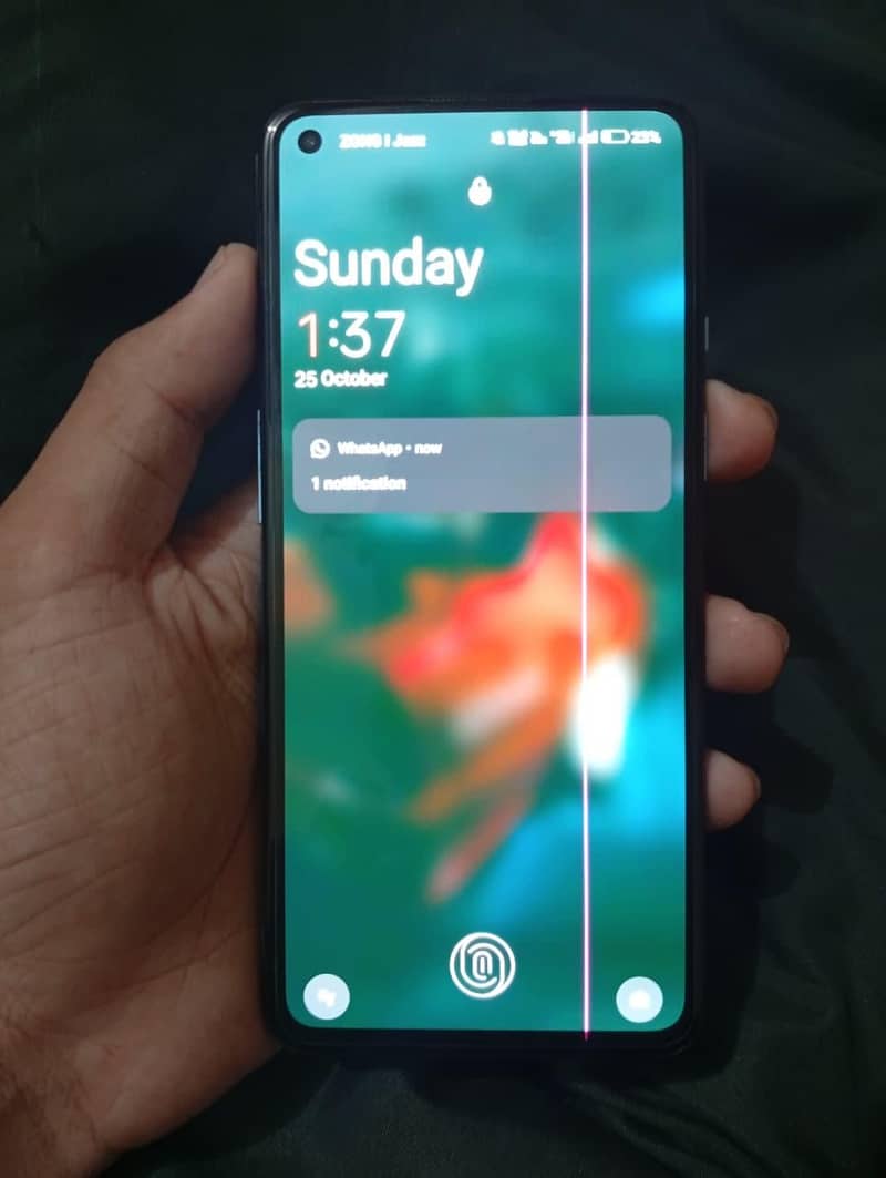 One Plus 9 5g 1