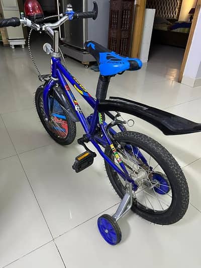 bicycle for kids