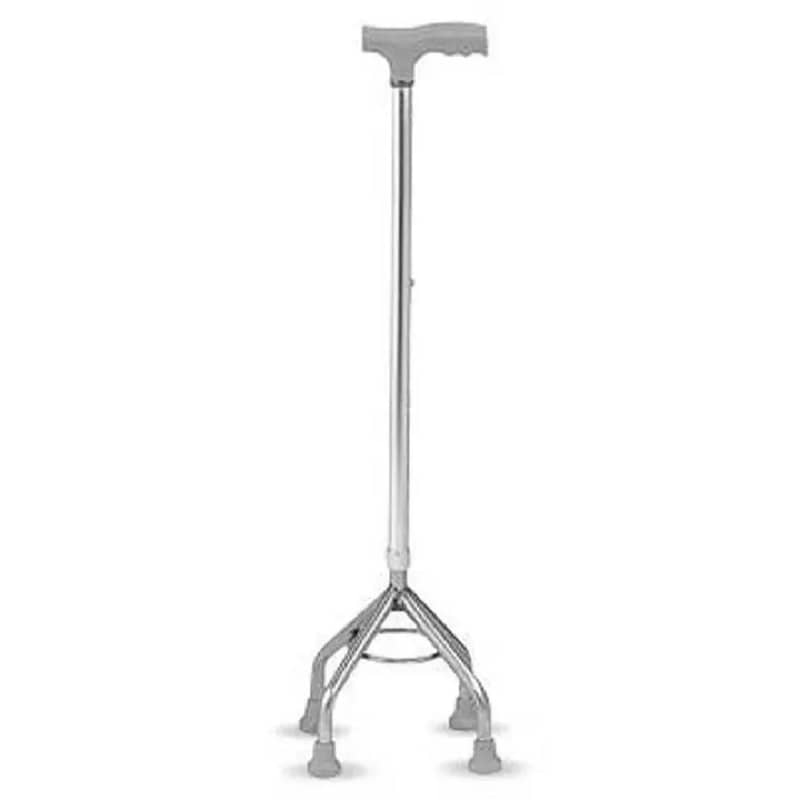 Walking Stick 0