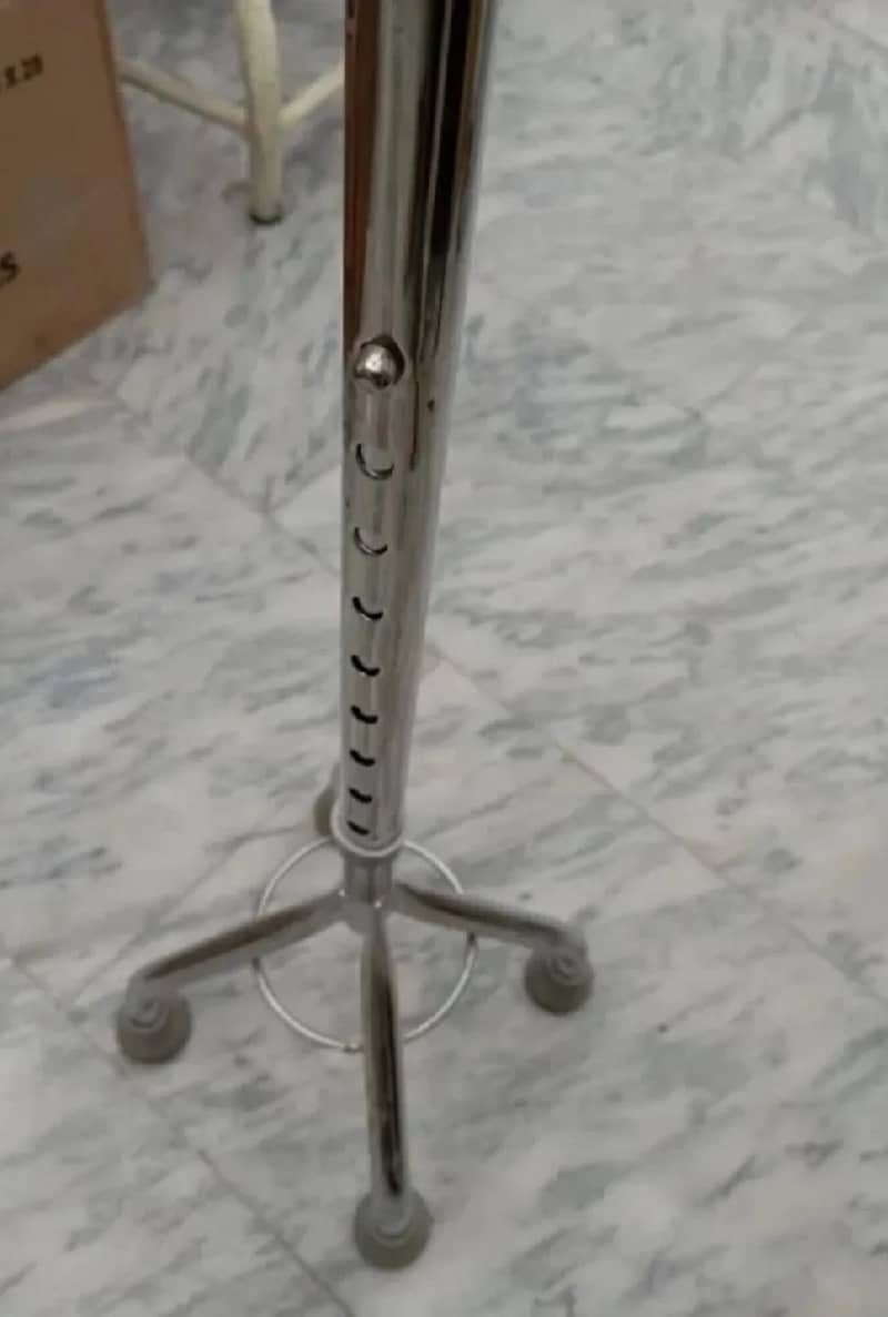 Walking Stick 1