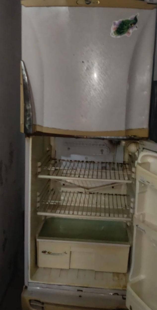freezer 1