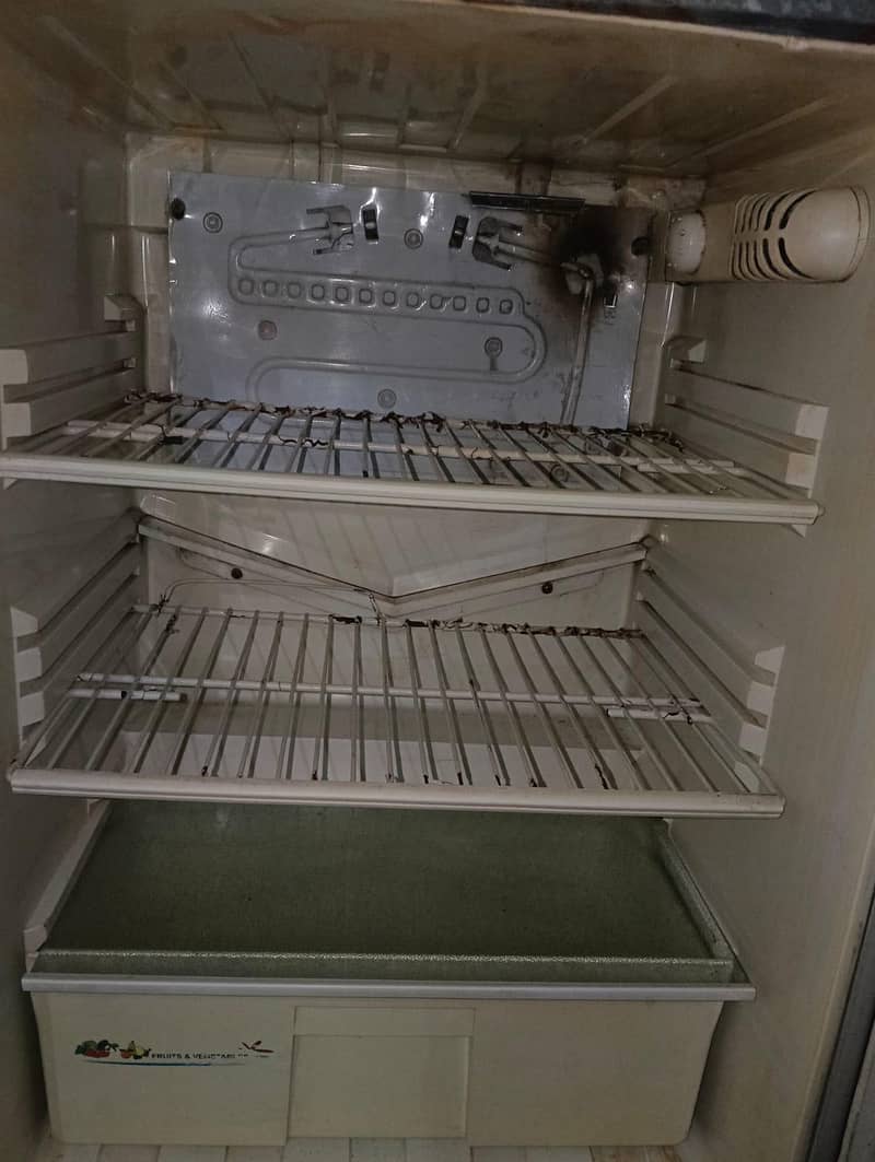 freezer 4