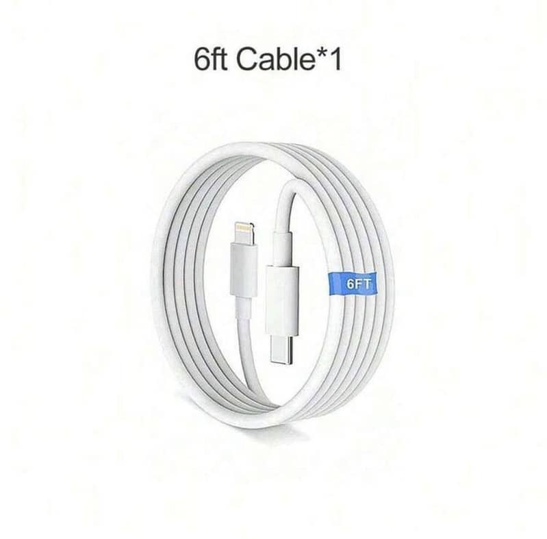 iPhone charger 1
