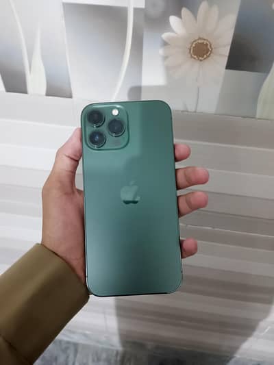 Apple iPhone 13 Pro Max