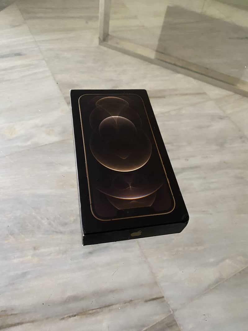 Apple iPhone 12 Pro Max 0