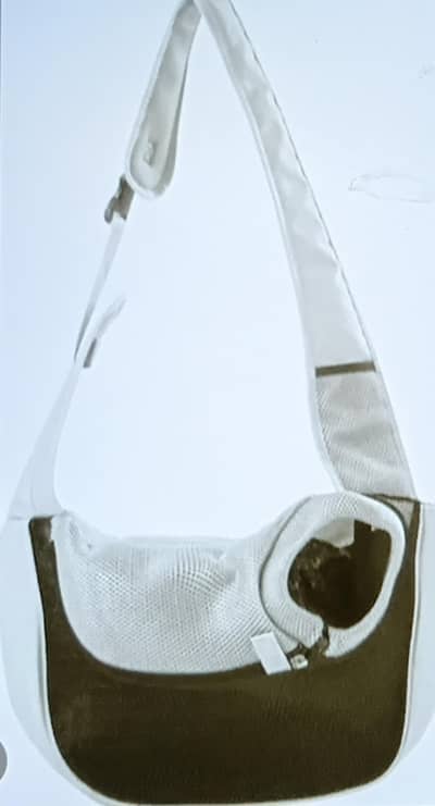 cat bag travelling bag with cat