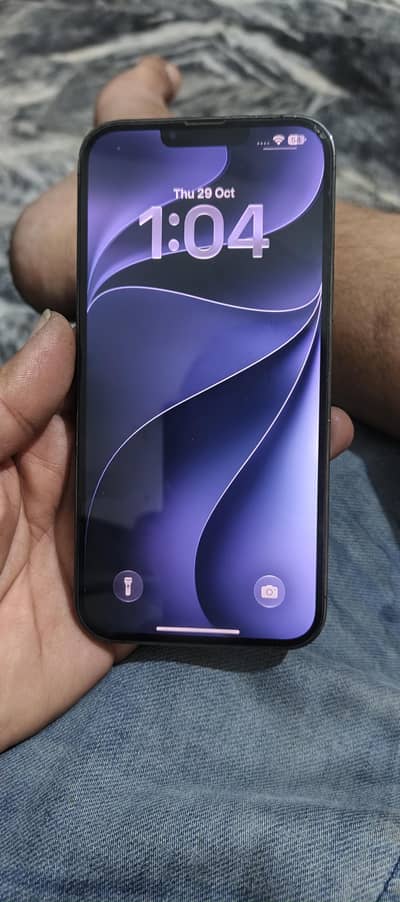 Apple iPhone 13 Pro Max