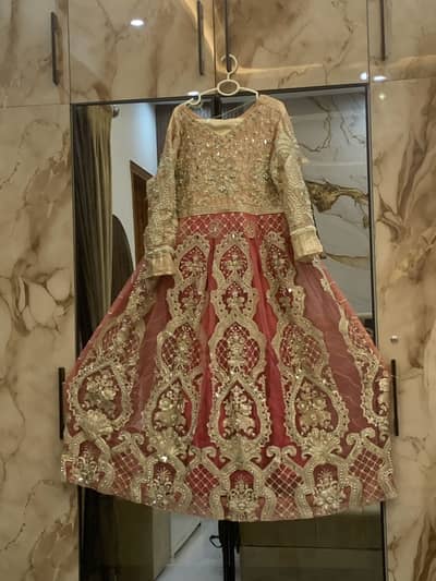 Elegant Net Organza Maxi