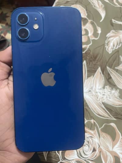 Apple iPhone 12