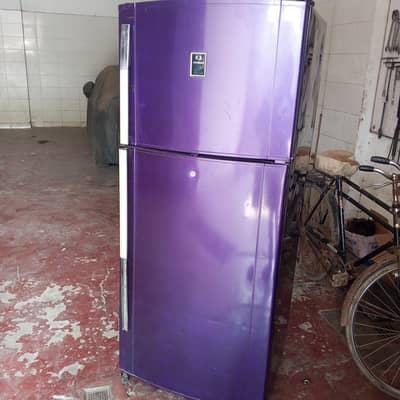 Dawlance jumbo size fridge