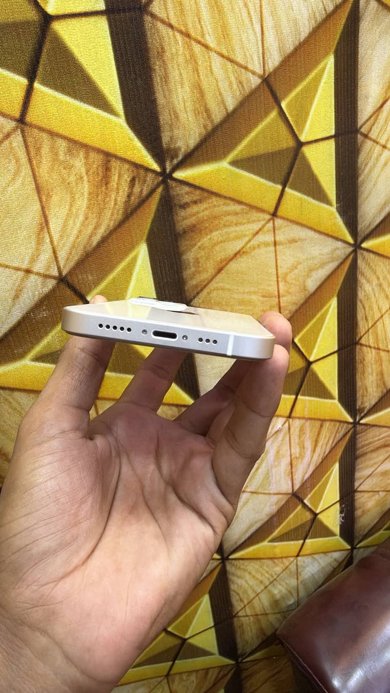Apple iPhone 13 0