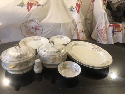 Dinner set (leftover of 14 pieces of Dinner set.