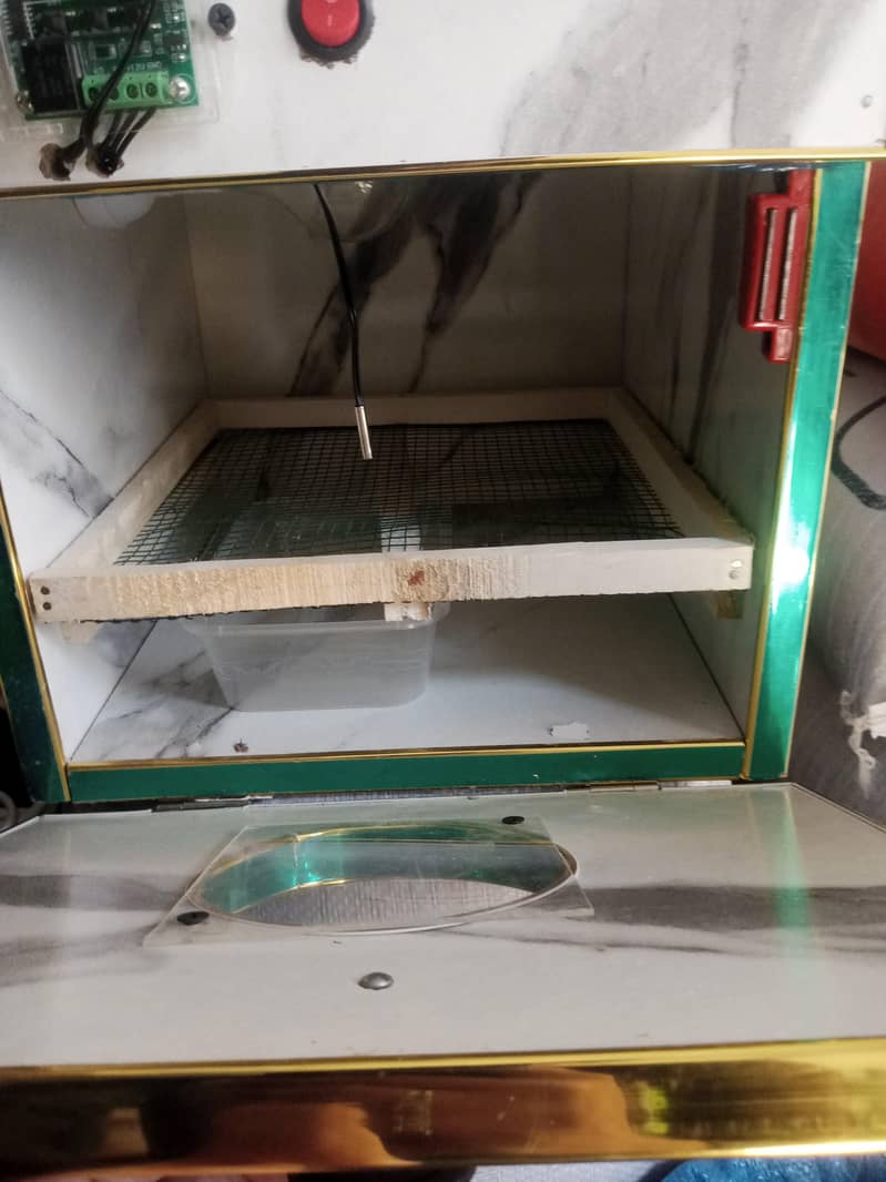 incubator 30 egg 1