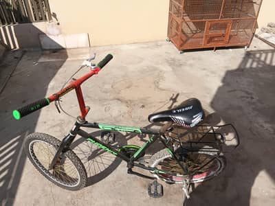 willing cycle
