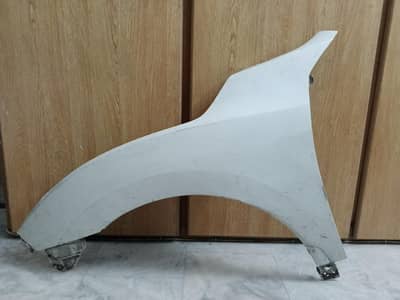Civic X Fenders 2021 Original Paint
