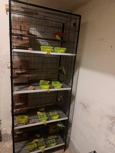 cage available for sale