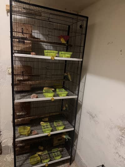 Cage for sale