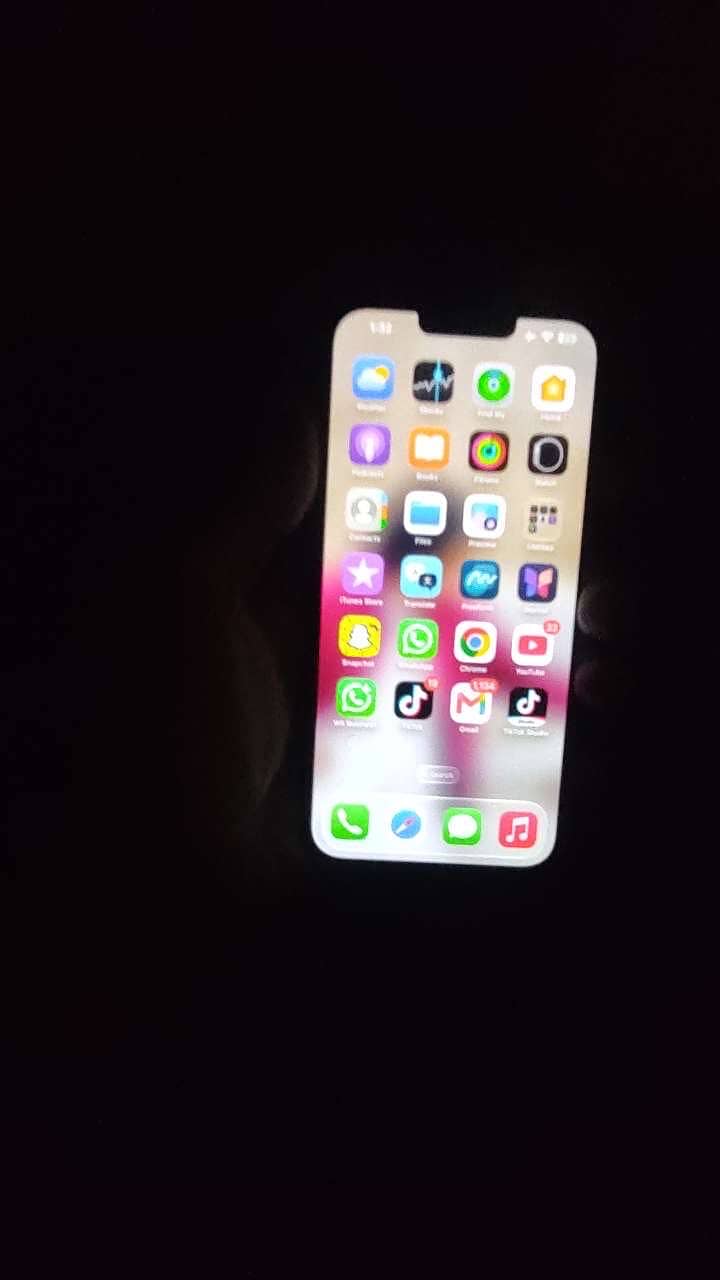 Apple iPhone 13 Pro Max 1