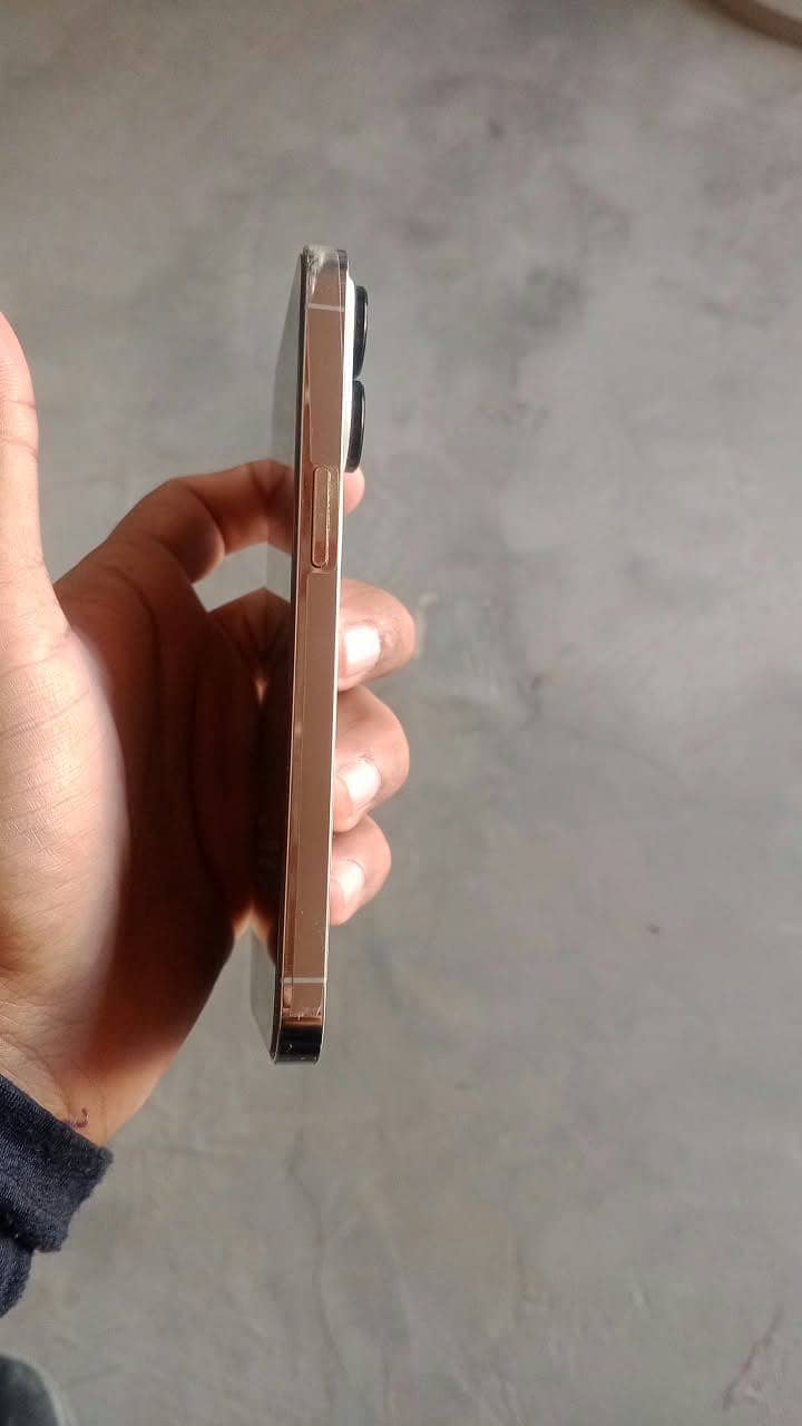Apple iPhone 13 Pro 1