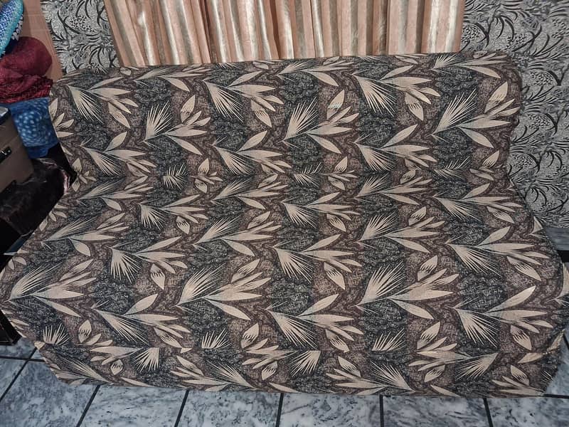 Sofa cum Bed 0