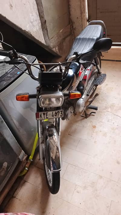 hounds