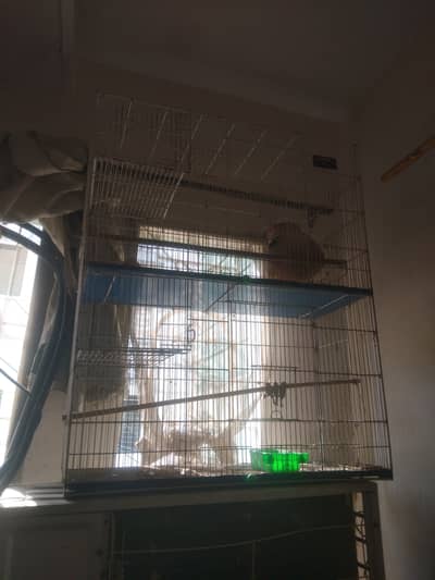 2 Floor Cage For Parrots
