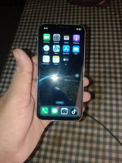 Apple iPhone X