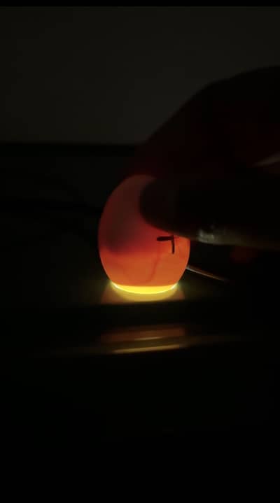 Fertile Eggs Lohman, Naked Neck and Desi hen, Australop male