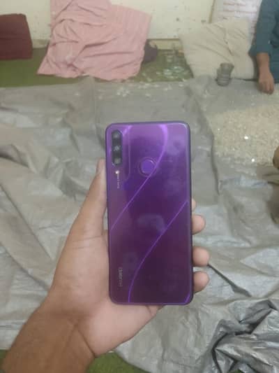Hawaii y6p 2020