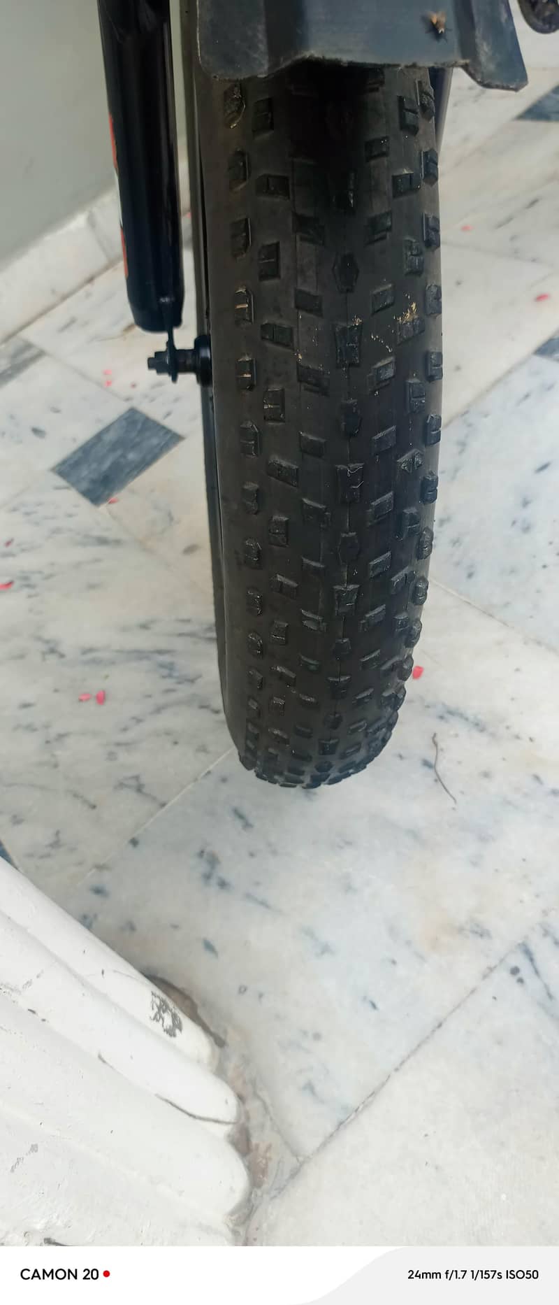 imported cycle 5