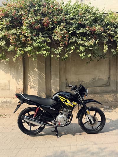 Yamaha YBR-G 2019 model