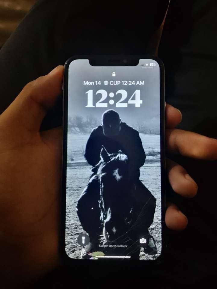 Apple iPhone X 0
