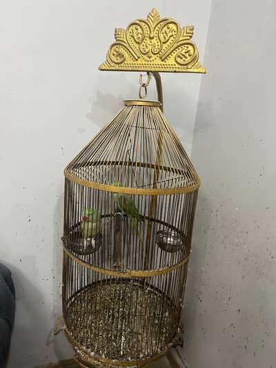 Parrot cage