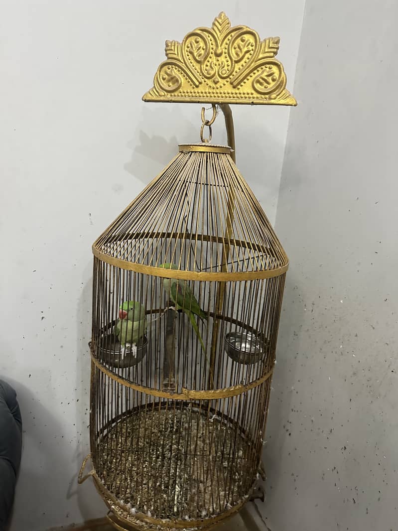 Parrot cage 0