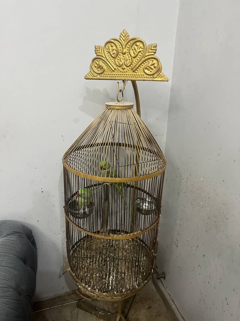 Parrot cage 5