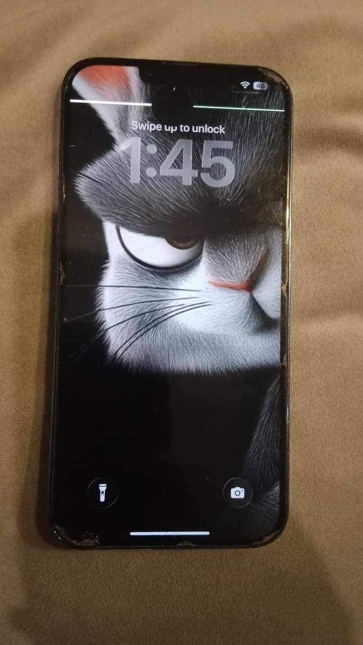 Apple iPhone 13 Pro Max 1