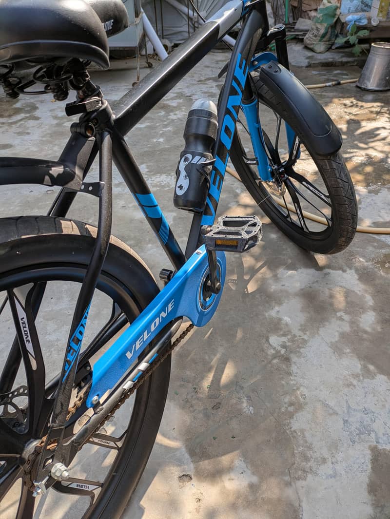 velone cycle 6