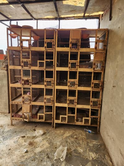 wooden cage for sale in good condition