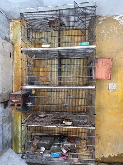 Birds cages