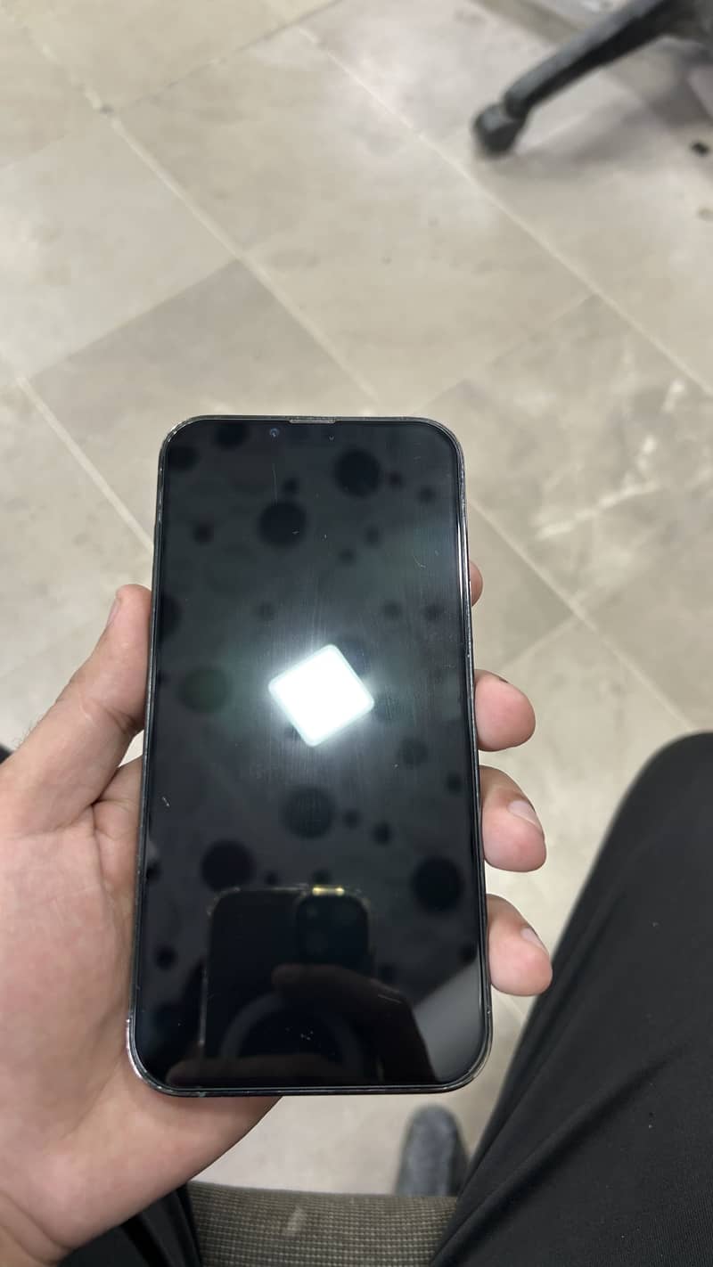 Apple iPhone 13 Pro Max 1